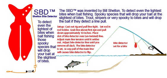 Ocean salmon trout steelhead sturgeon, stripers downrigger
