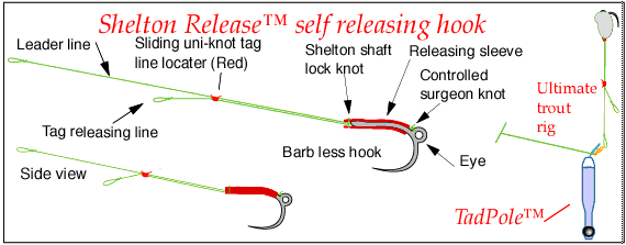 Barbless Hooks: Why Use Barbless Hooks & How To Make Your Hooks