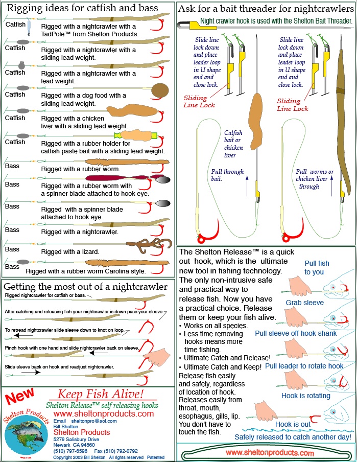 Rigging ideas for trolling and bait fishing for salmon, trout and other  species