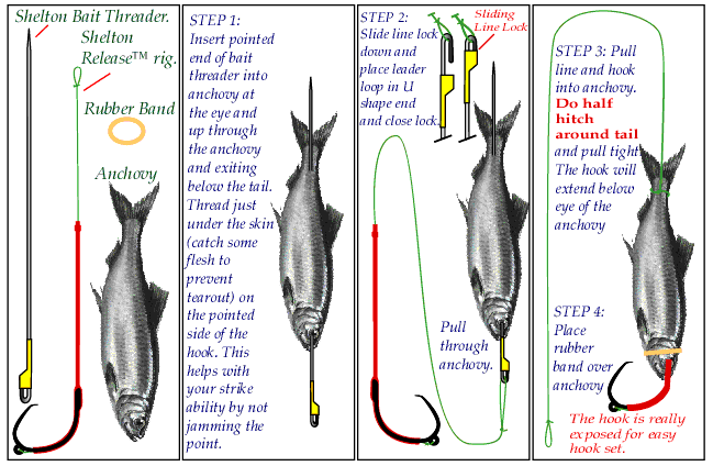 Shelton Release™ the self releasing hook.