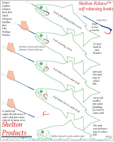 Picture of Shelton self releasing hook and how the Shelton release works.